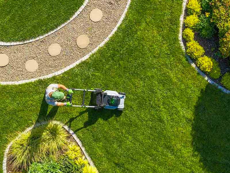 RENARD ÉLAGAGE 72 : Élagueur, jardinier paysagiste dans la Sarthe (72). Étêtage, Élagage, abattage d’arbres, dessouchage, évacuation des déchets verts. Entretien espaces verts jardin: tailles haies, tonte pelouse, débrousaillage