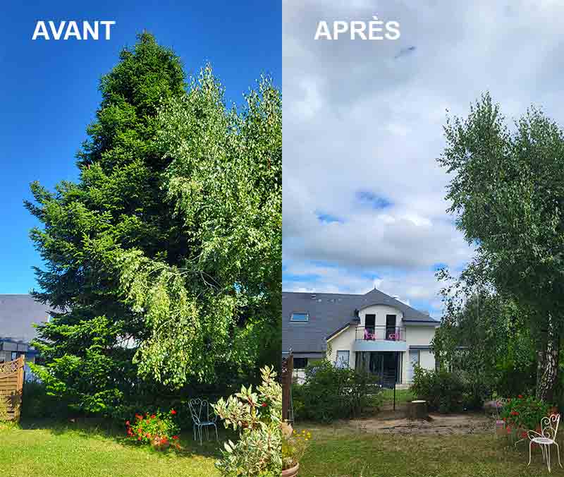 Élagage et abattage d'arbres - RENARD ÉLAGAGE 72 : Élagueur Sarthe (72) - Élagage et abattage d'arbres : Etêtage, élagage, abattage d'arbres, taille des arbres dessouchage et évacuation des déchets verts. Intervention dans la Sarthe (72)
