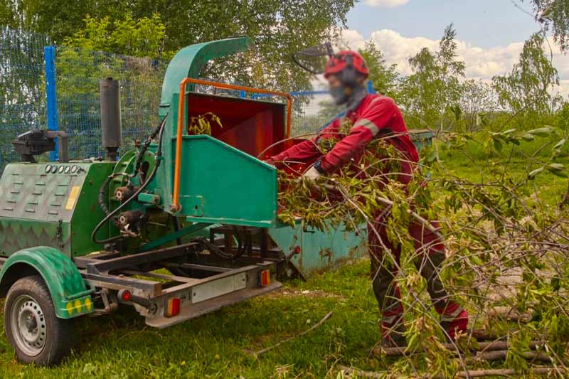 Élagage et abattage d'arbres - RENARD ÉLAGAGE 72 : Élagueur Sarthe (72) - Élagage et abattage d'arbres : Etêtage, élagage, abattage d'arbres, taille des arbres dessouchage et évacuation des déchets verts. Intervention dans la Sarthe (72)