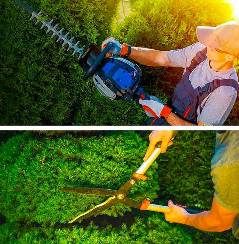 Entretien des espaces verts - RENARD ÉLAGAGE 72 : Jardinier Sarthe (72) - Entretien des espaces verts, des jardins : Taille des haies, tonte pelouse, débrousaillage … Jardinier paysagiste dans la Sarthe (72)