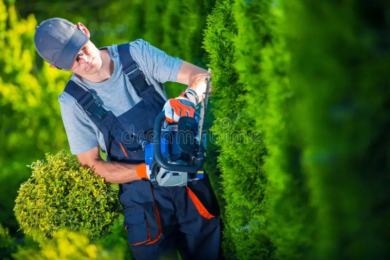RENARD ÉLAGAGE 72 : Élagueur, jardinier paysagiste dans la Sarthe (72). Étêtage, Élagage, abattage d’arbres, dessouchage, évacuation des déchets verts. Entretien espaces verts jardin: tailles haies, tonte pelouse, débrousaillage